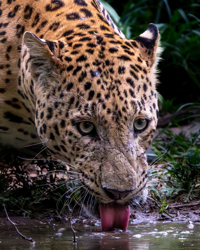 Photograph by Vipin P C