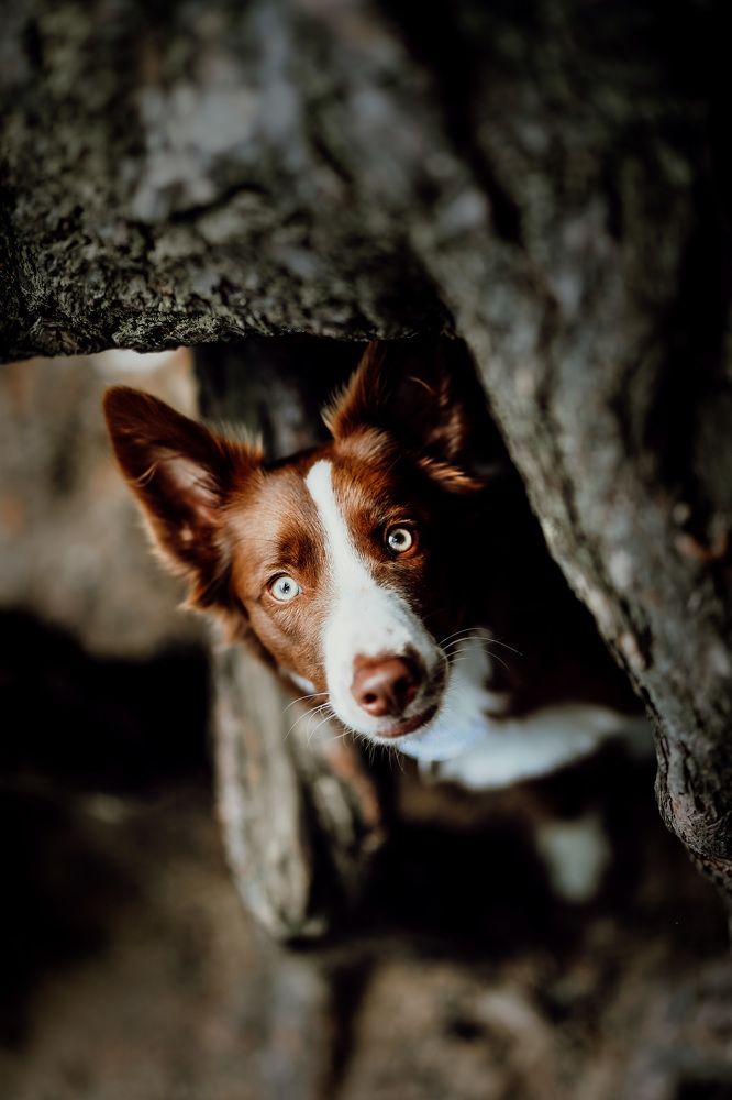 Photograph by Patrycja Dawid