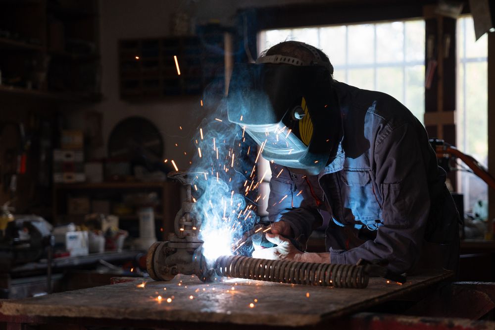 Фотография автора Emir Kurtanović