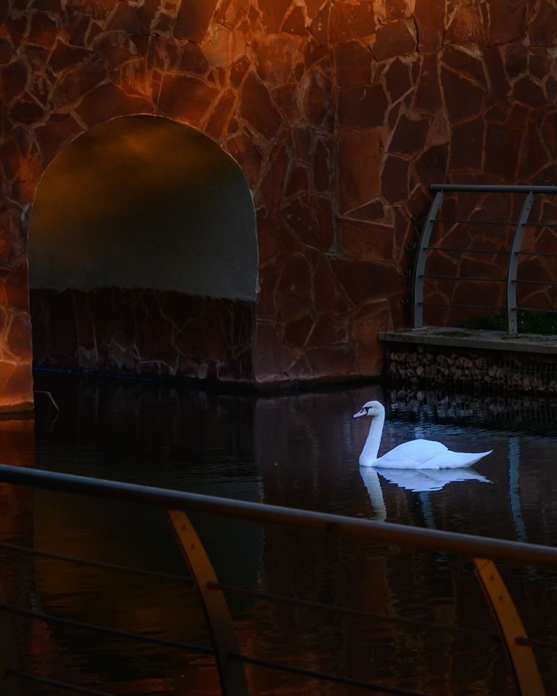 Photograph by Ната Богатова