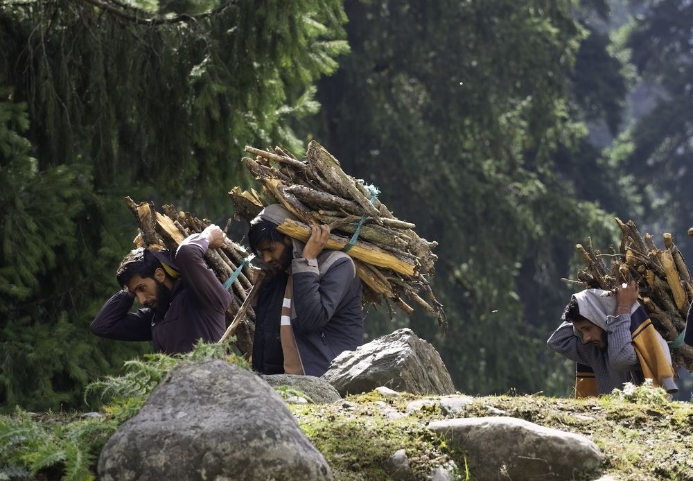Photograph by HEMAMALI GUNASEKARA