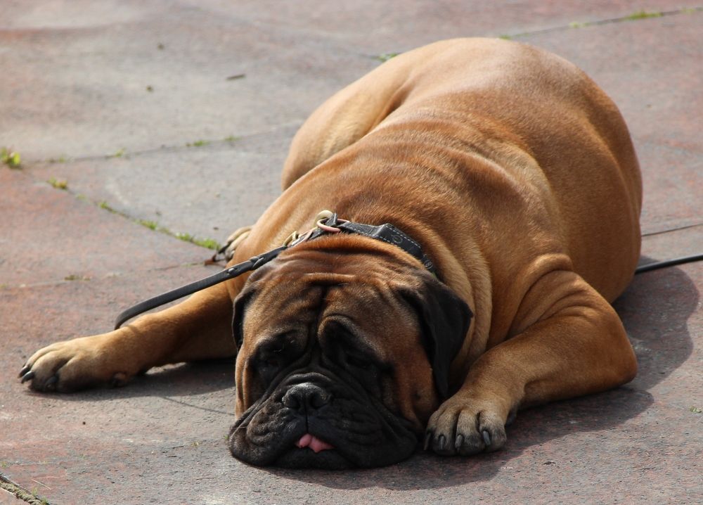 Photograph by Алексей Малеев