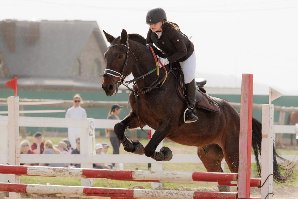 Фотография автора Елена Гордиевская