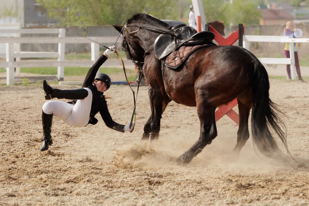 Фотография автора Елена Гордиевская