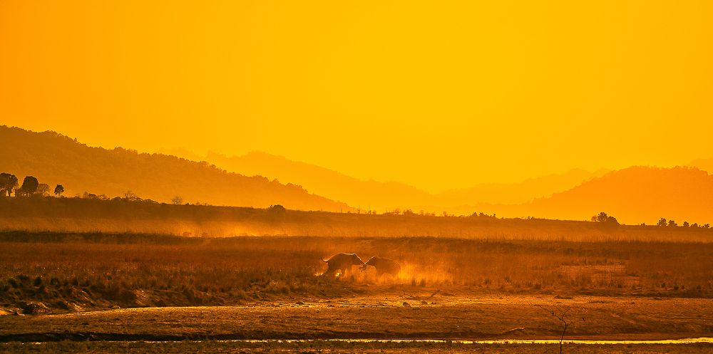 Photograph by Manoj Nair