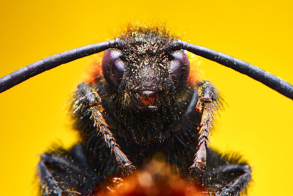 Photograph by Масленников Сергей