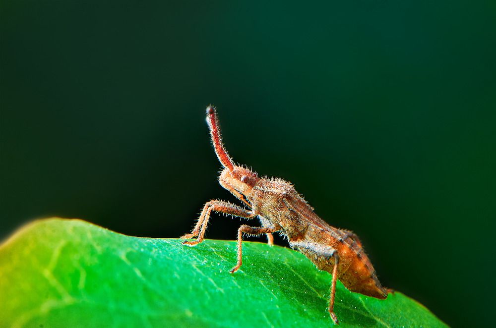 Photograph by Масленников Сергей