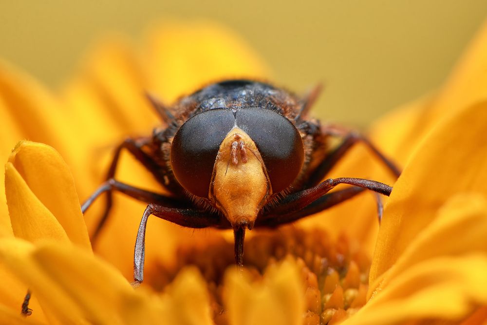 Photograph by Масленников Сергей