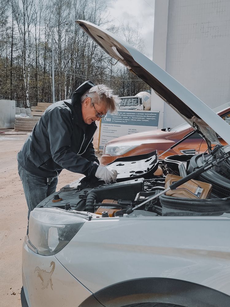 Фотография автора Светлана Алексеева