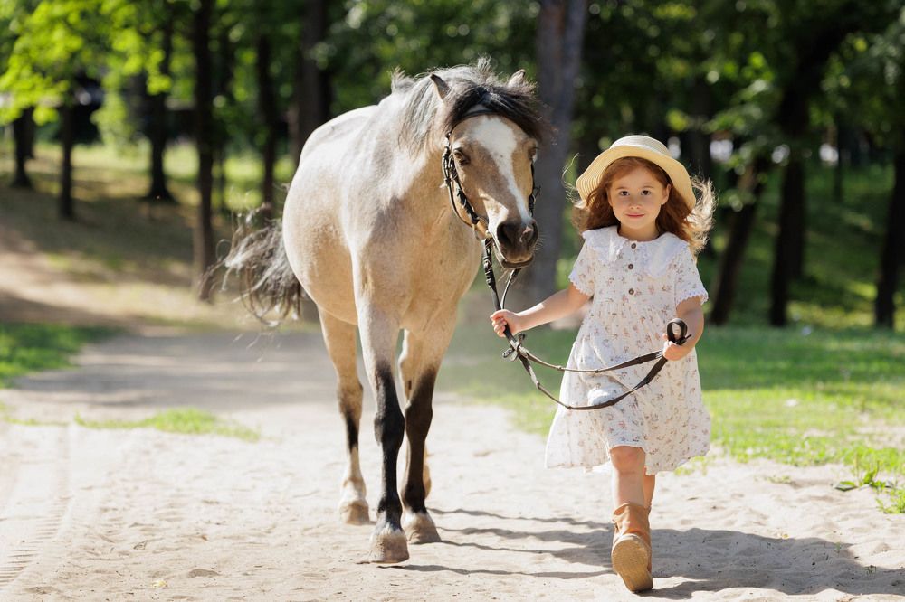 Фотография автора Елена Гордиевская