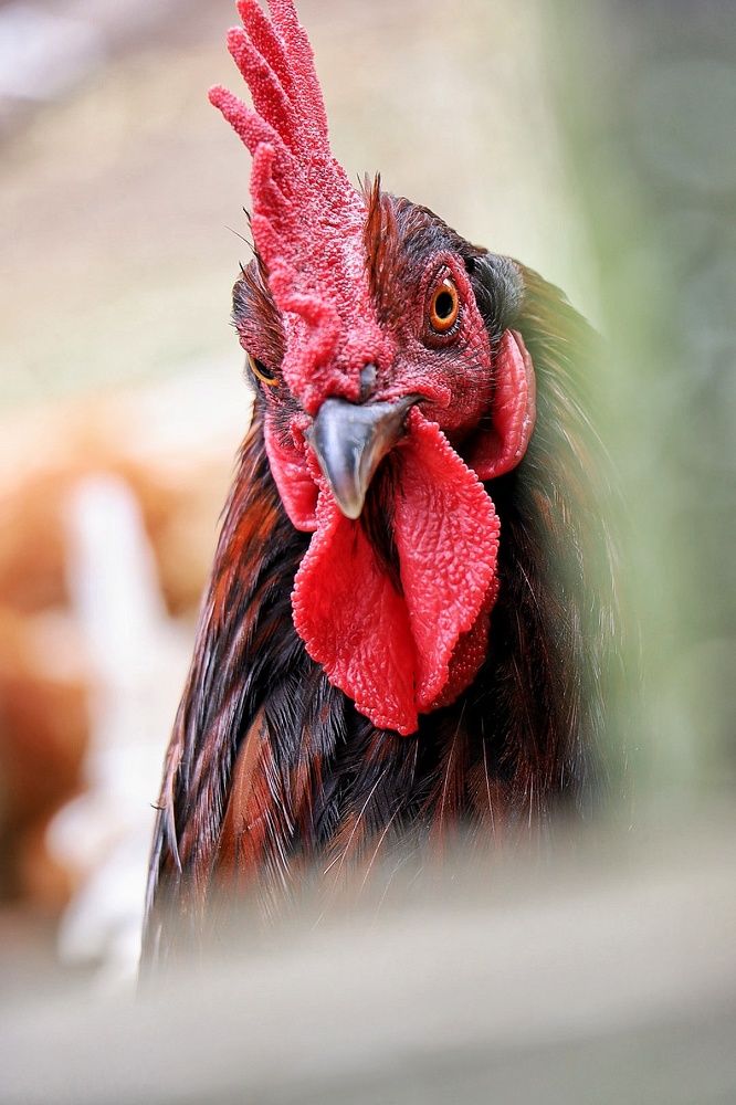 Здравствуйте!