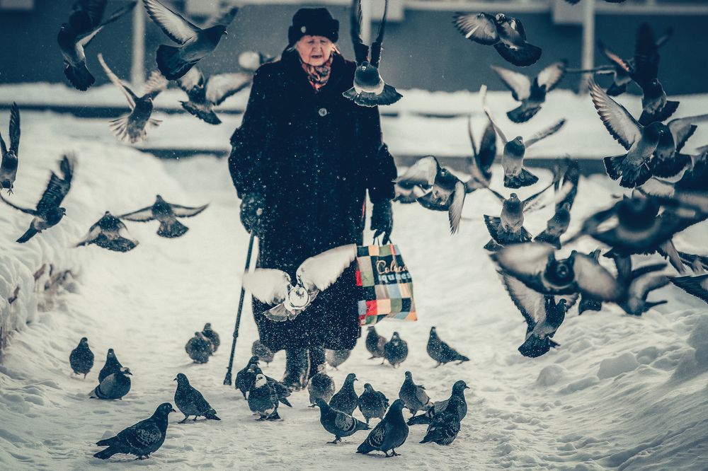 Photograph by Сергей Шпаков