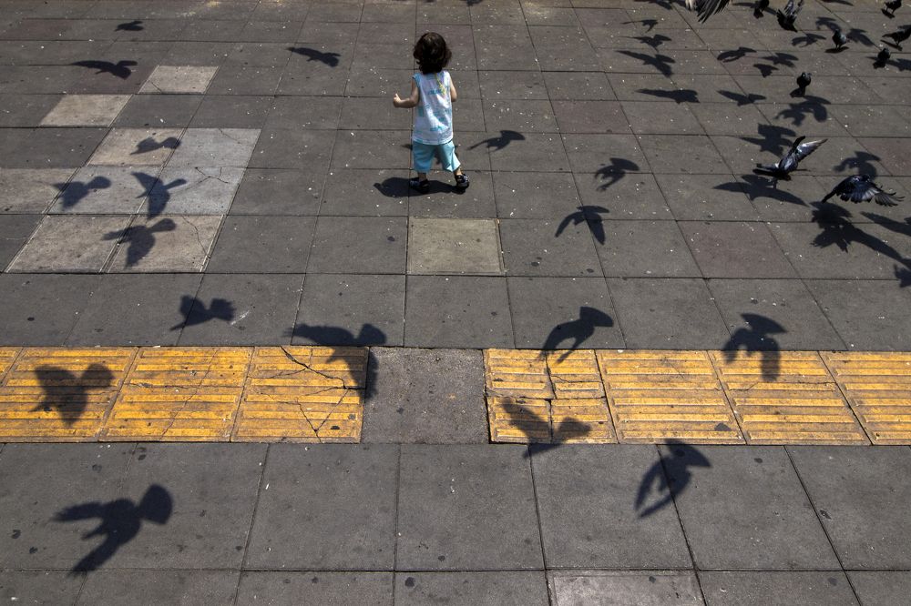 Photograph by Amirhossein Yousefi Keysari