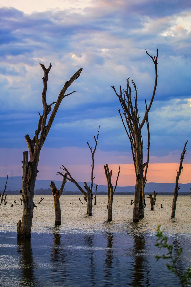 Photograph by Siamak Sabet