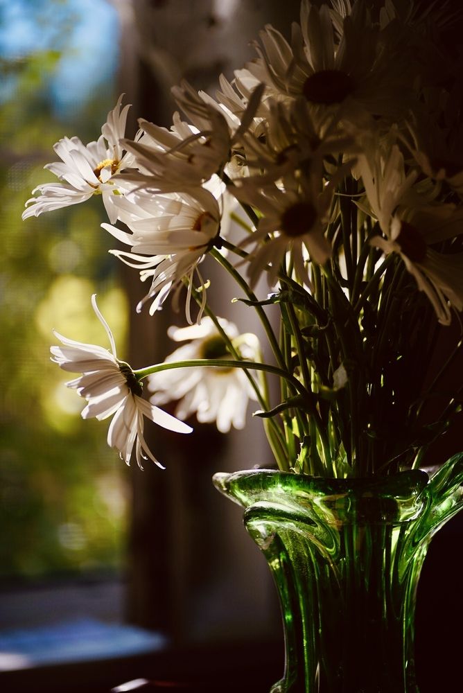 Фотография автора Таша Воскресная