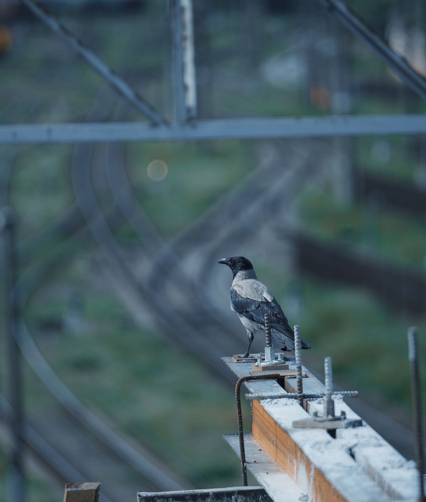 Photograph by Михаил Сергеюк