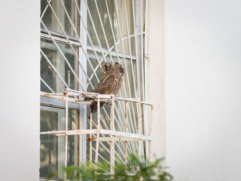 Photograph by Олег Дорошенко