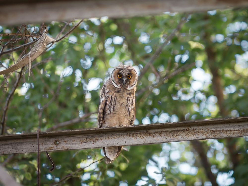 Photograph by Олег Дорошенко