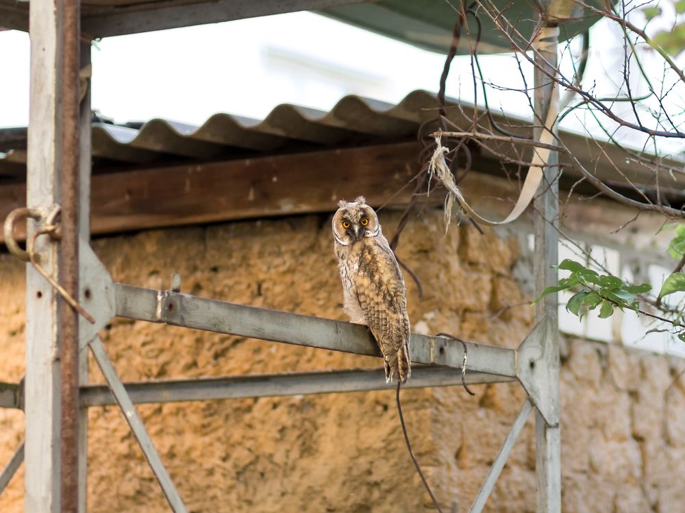 Photograph by Олег Дорошенко