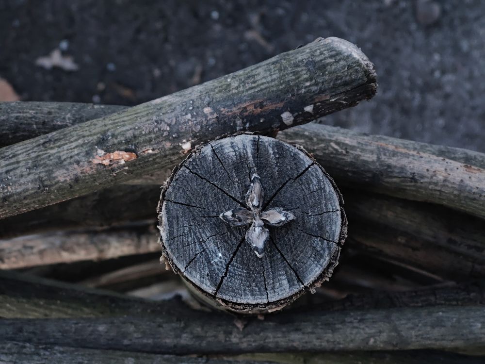 Photograph by Масленников Сергей