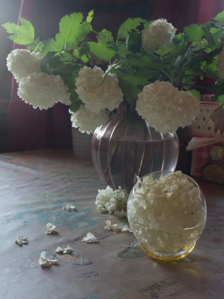 Photograph by Руслан Гончар