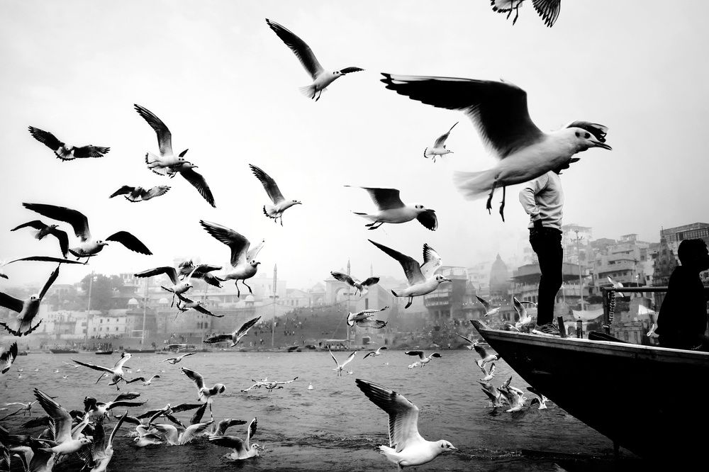 A ride towards freedom ...