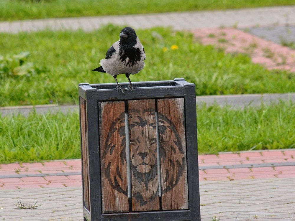 Photograph by Сергей Симаков