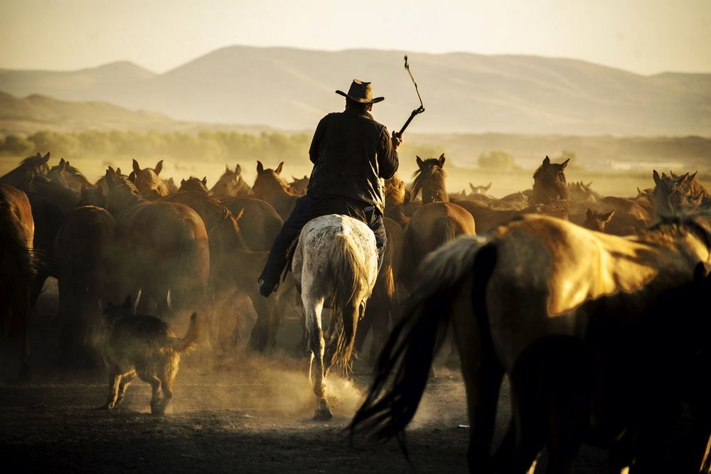 Photograph by DAMOUN POURNEMATI