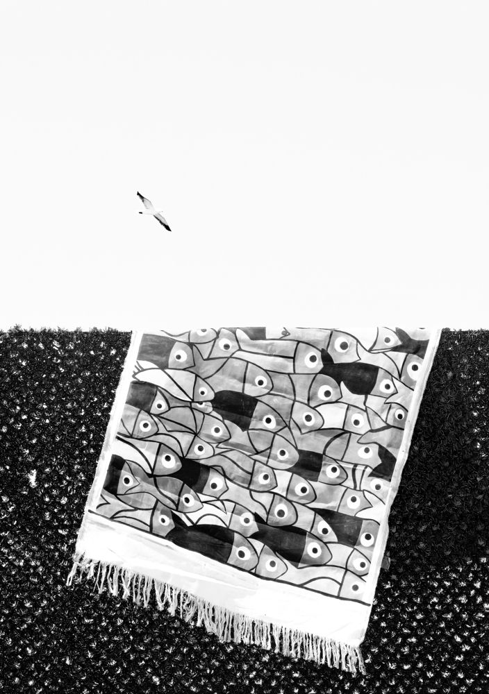 Photograph by Farid Azadi