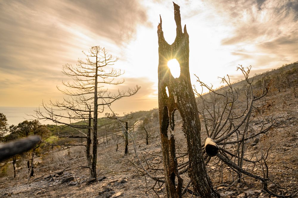 Памятник человеческой халатности