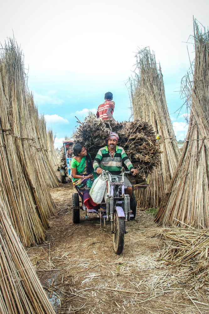 Photograph by Dipankar Paul