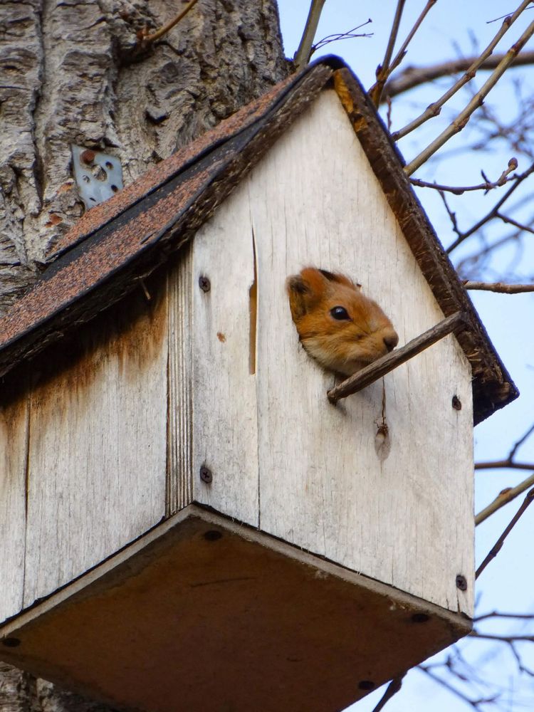 Photograph by Анжелика Трошина