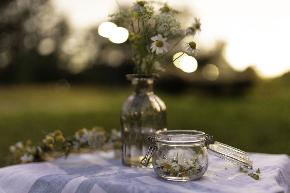 Photograph by Светлана Азизова