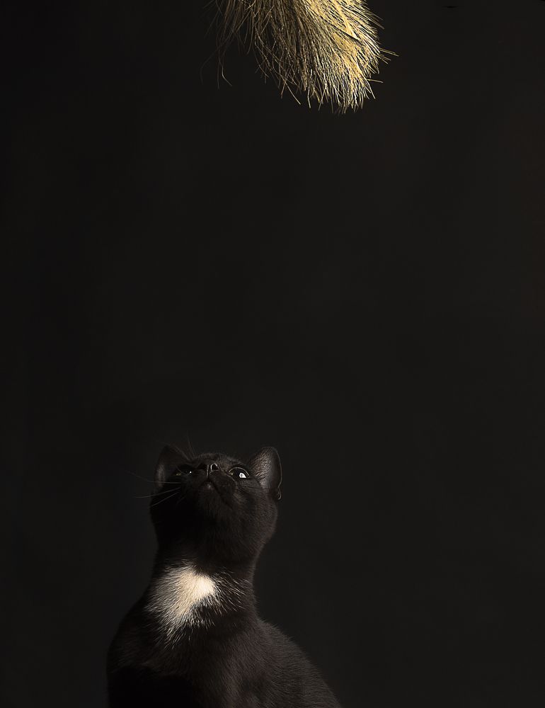 Photograph by jose colina