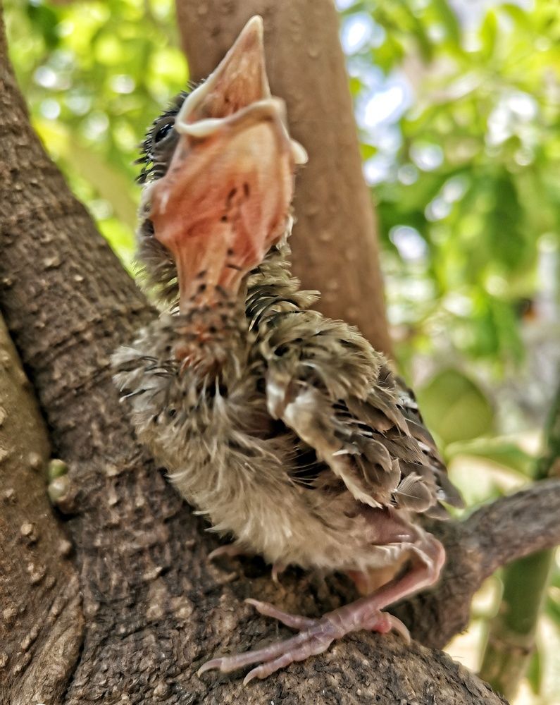 Photograph by Anil Yadav