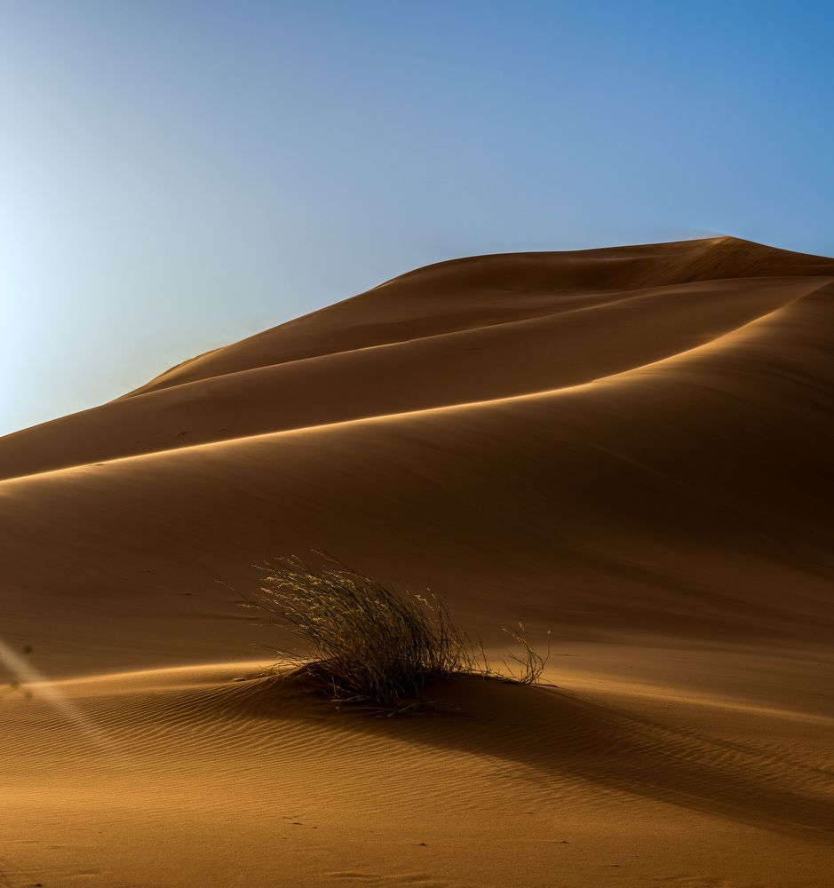 Photograph by Ali Alqassab