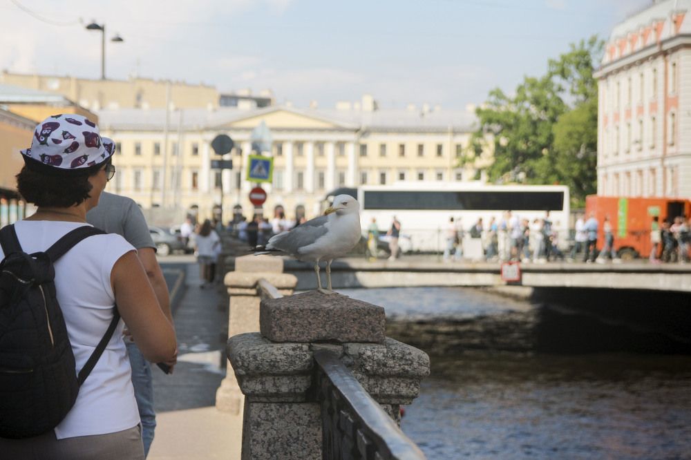 Photograph by Людмила Савчук