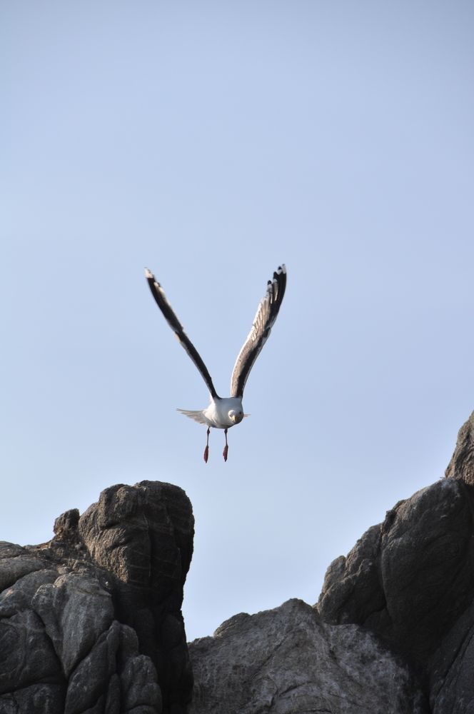 Photograph by Евгений Захаров