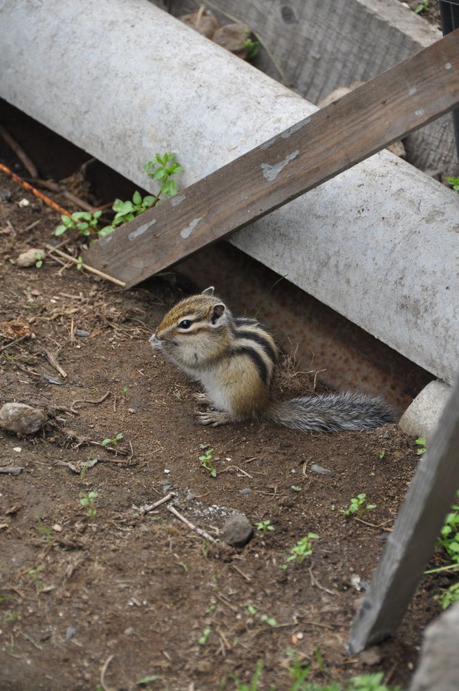 Photograph by Евгений Захаров