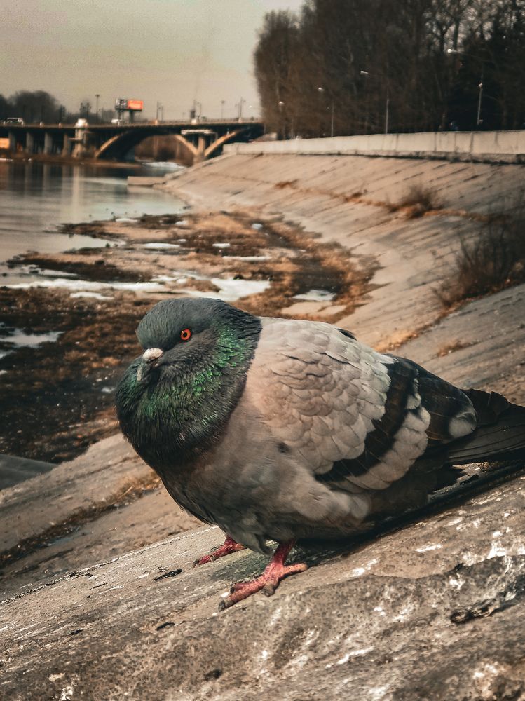 Photograph by Владимир Сушкин