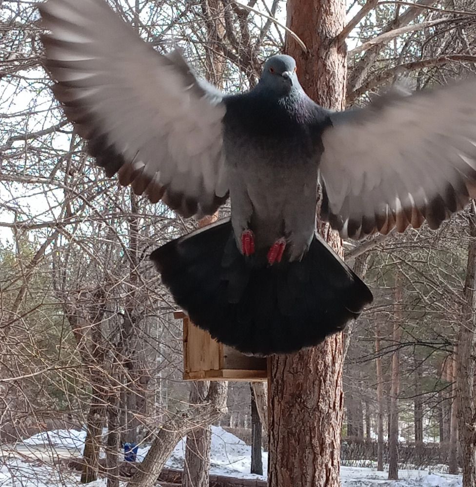 Photograph by Оксана Мельник