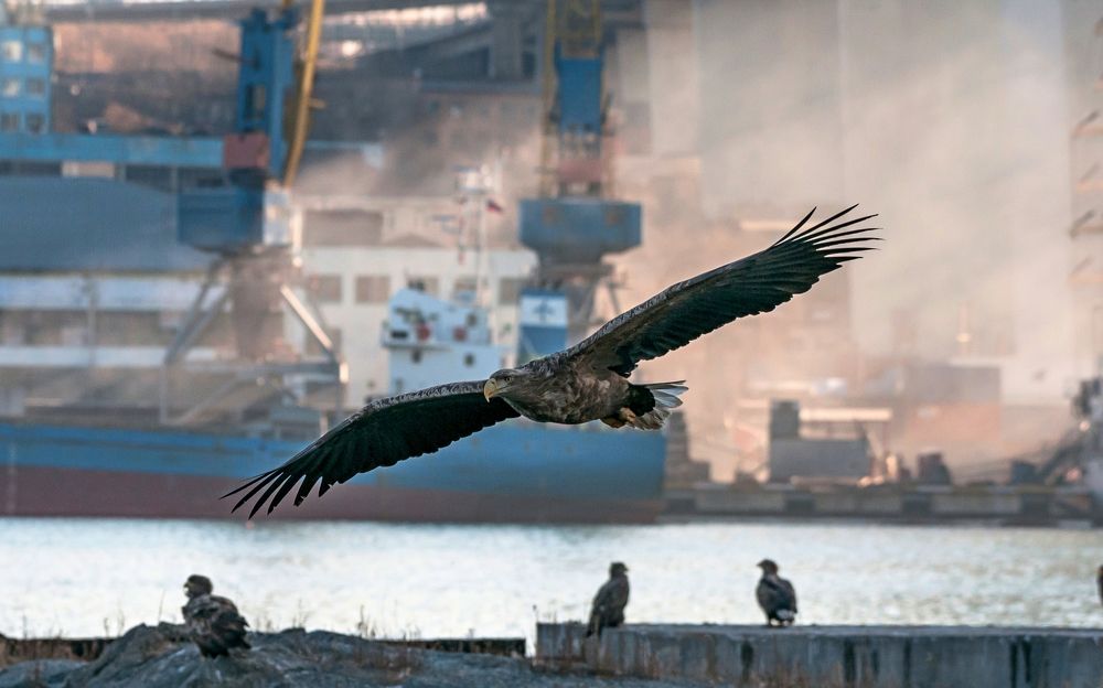 Photograph by константин