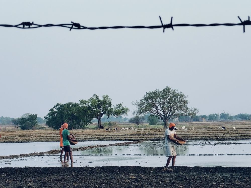 Photograph by Ashwini Rai