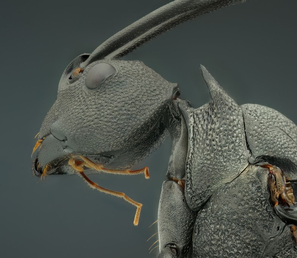 Photograph by Nguyen Van Thanh