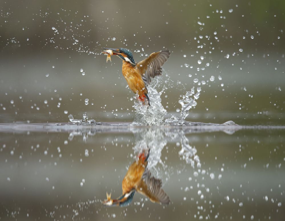 Photograph by Nguyen Van Thanh