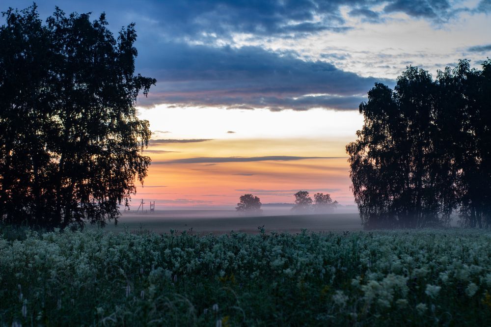 Фотография автора Ярослава Ангорская