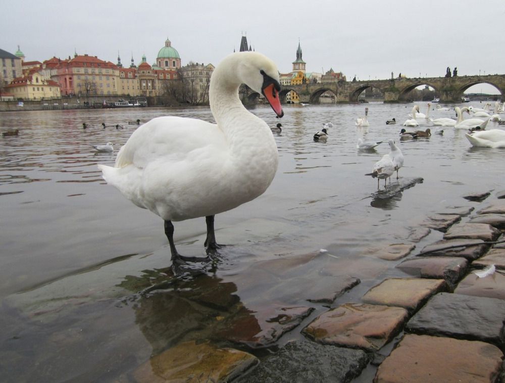Photograph by Виталий Качурин