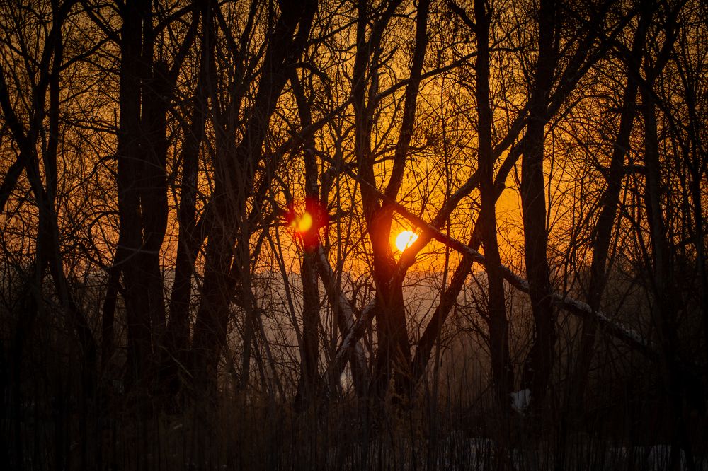 Фотография автора Ярослава Ангорская