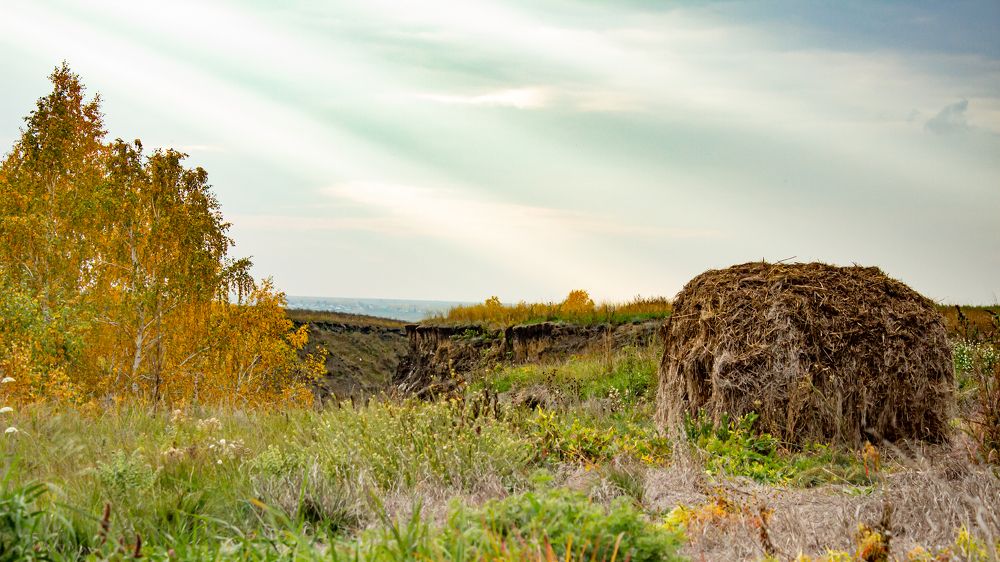 Фотография автора Ярослава Ангорская