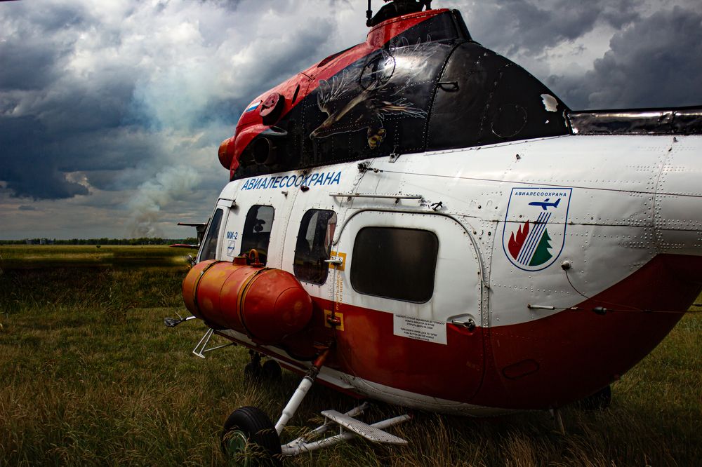 Фотография автора Ярослава Ангорская